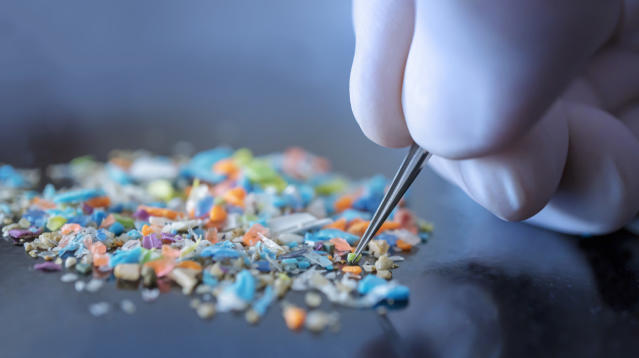 Microplastics Inside the Human Body 